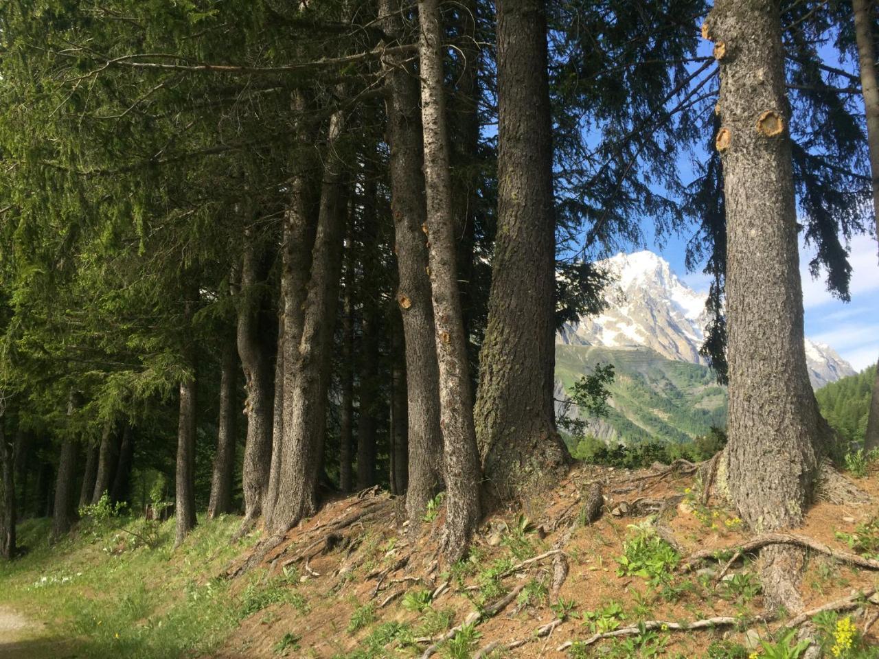 Hobo Camping Courmayeur Luaran gambar
